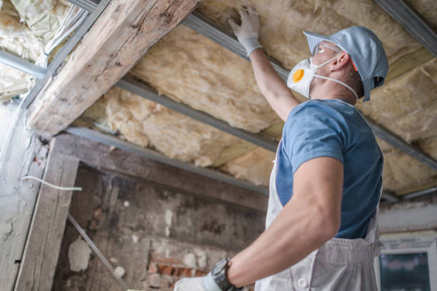Best Specialized Insulation Services in Clarendon Hls, IL